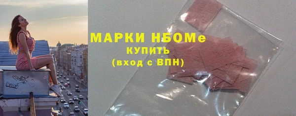 стаф Алзамай