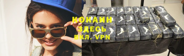 стаф Алзамай