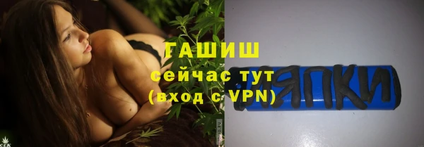 стаф Алзамай