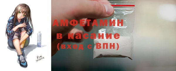 стаф Алзамай