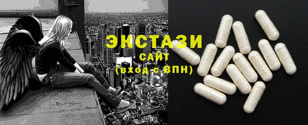 стаф Алзамай