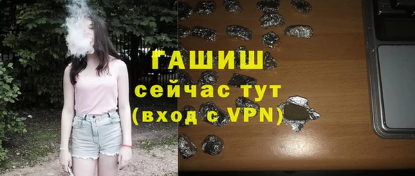 стаф Алзамай