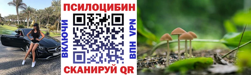 Псилоцибиновые грибы MAGIC MUSHROOMS  Лаишево 
