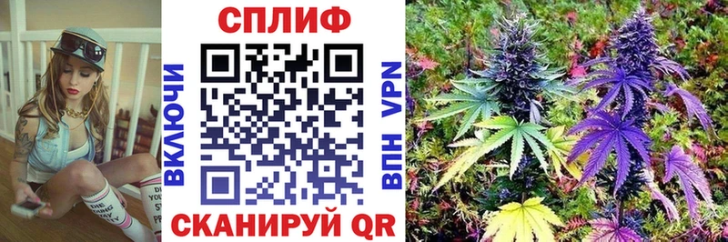 Шишки марихуана индика что такое наркотик Лаишево